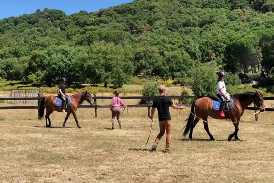 Equestrian tourism for beginners