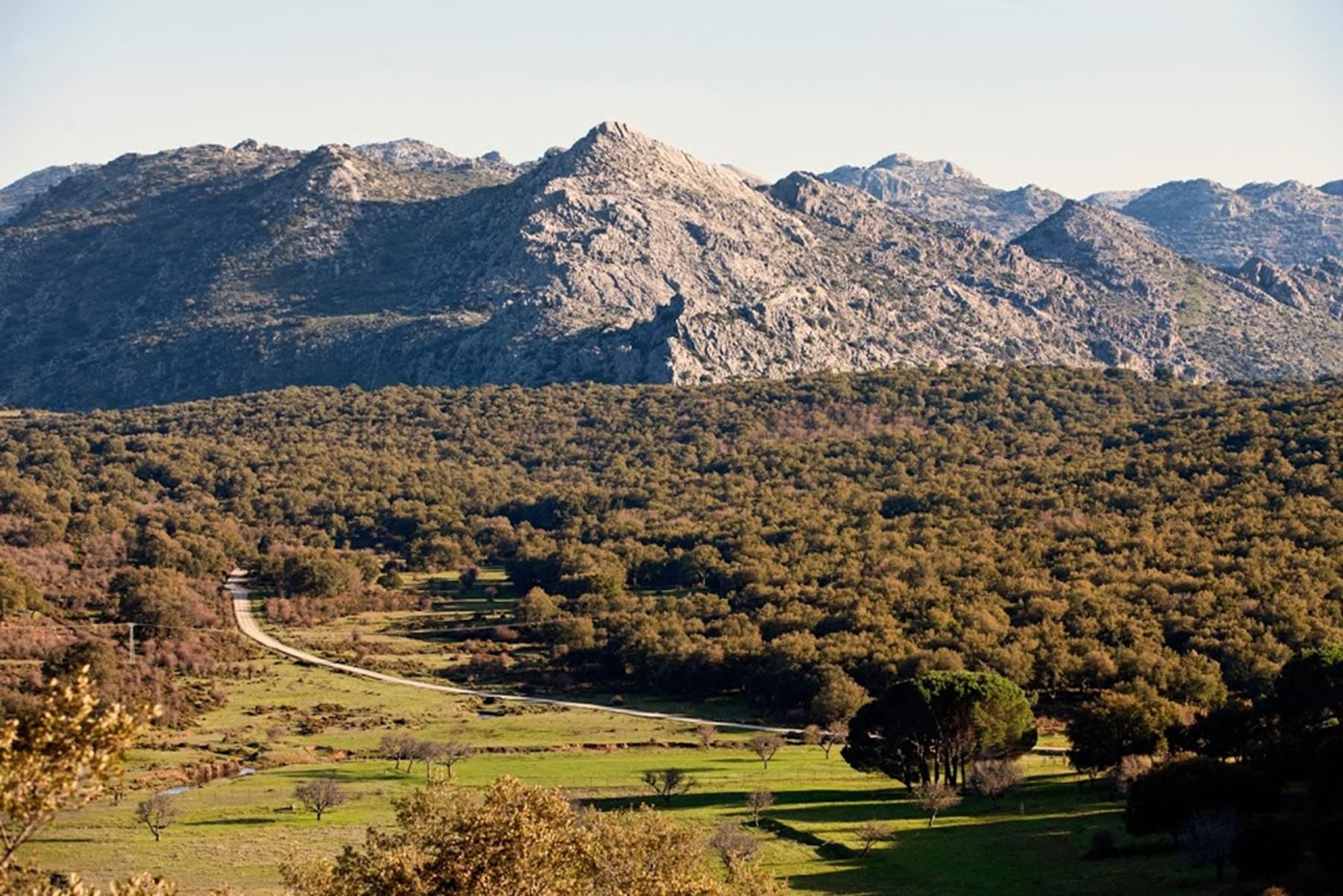 Senderos señalizados en el Parque Natural Sierra de Grazalema