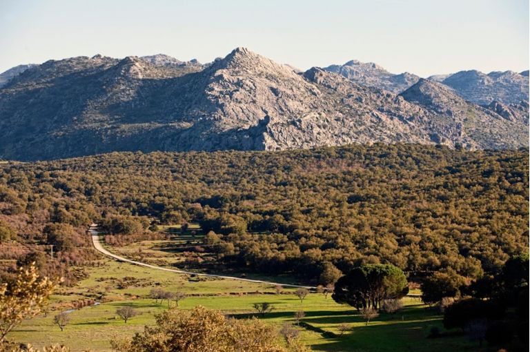 Suggested trails in Grazalema nature park